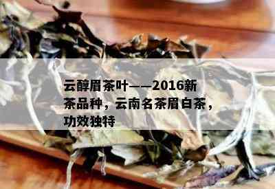 云醇眉茶叶——2016新茶品种，云南名茶眉白茶，功效独特