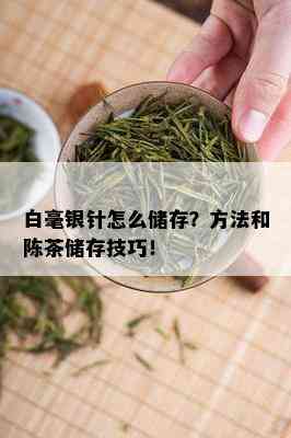 白毫银针怎么储存？方法和陈茶储存技巧！