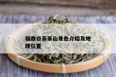 福鼎白茶茶山景色介绍及地理位置