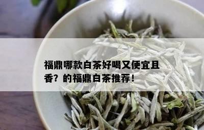 福鼎哪款白茶好喝又便宜且香？的福鼎白茶推荐！