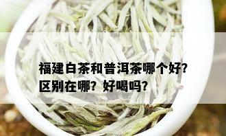 福建白茶和普洱茶哪个好？区别在哪？好喝吗？