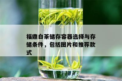 福鼎白茶储存容器选择与存储条件，包括图片和推荐款式