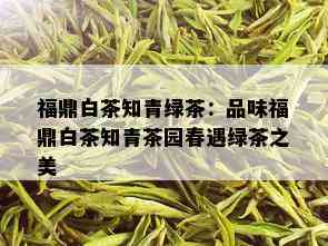 福鼎白茶知青绿茶：品味福鼎白茶知青茶园春遇绿茶之美