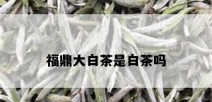 福鼎大白茶是白茶吗