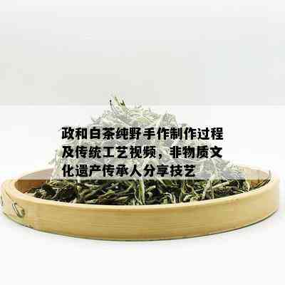 政和白茶纯野手作制作过程及传统工艺视频，非物质文化遗产传承人分享技艺