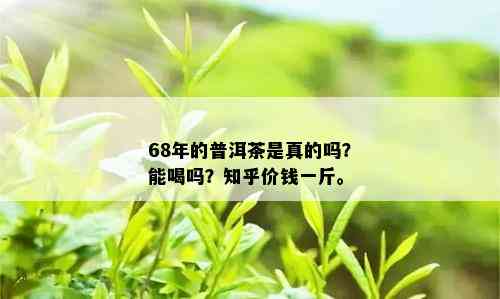 68年的普洱茶是真的吗？能喝吗？知乎价钱一斤。