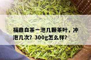 福鼎白茶一泡几颗茶叶，冲泡几次？300g怎么样？