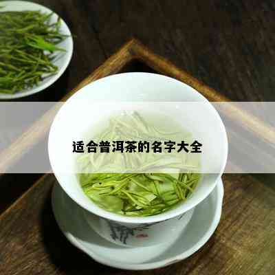 适合普洱茶的名字大全