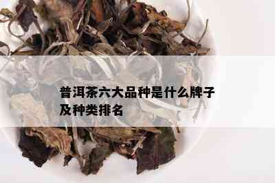 普洱茶六大品种是什么牌子及种类排名