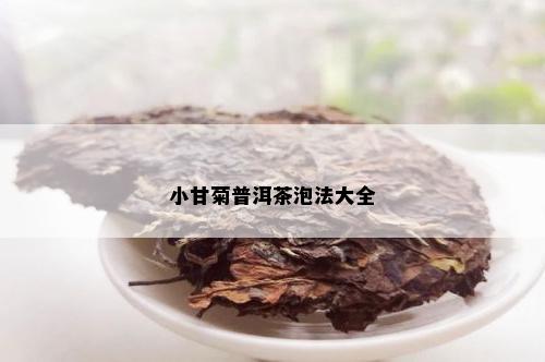 小甘菊普洱茶泡法大全