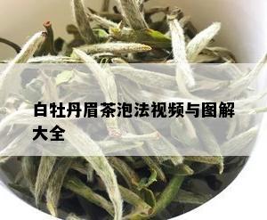 白牡丹眉茶泡法视频与图解大全