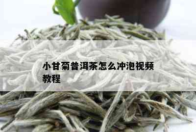 小甘菊普洱茶怎么冲泡视频教程