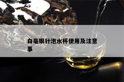 白毫银针泡水杯使用及注意事