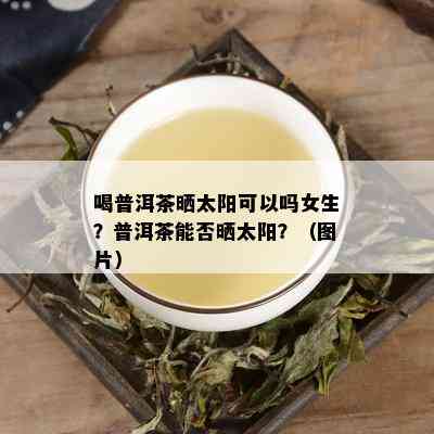 喝普洱茶晒太阳可以吗女生？普洱茶能否晒太阳？（图片）