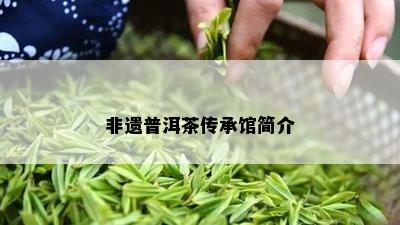 非遗普洱茶传承馆简介