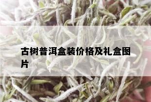 古树普洱盒装价格及礼盒图片