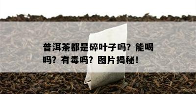 普洱茶都是碎叶子吗？能喝吗？有吗？图片揭秘！