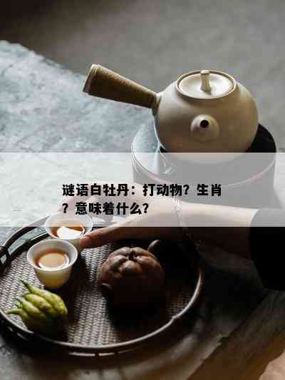 谜语白牡丹：打动物？生肖？意味着什么？