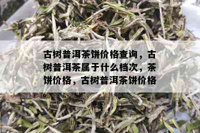 古树普洱茶饼价格查询，古树普洱茶属于什么档次，茶饼价格，古树普洱茶饼价格。