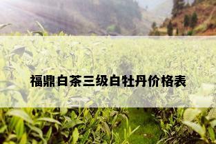 福鼎白茶三级白牡丹价格表