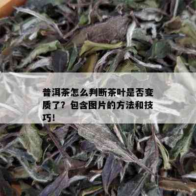 普洱茶怎么判断茶叶是否变质了？包含图片的方法和技巧！