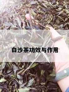 白沙茶功效与作用