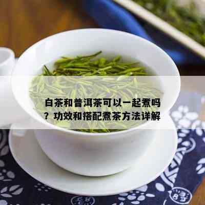 白茶和普洱茶可以一起煮吗？功效和搭配煮茶方法详解