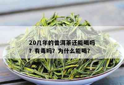 20几年的普洱茶还能喝吗？有吗？为什么能喝？