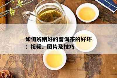 如何辨别好的普洱茶的好坏：视频、图片及技巧