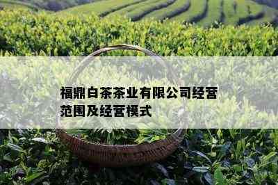 福鼎白茶茶业有限公司经营范围及经营模式