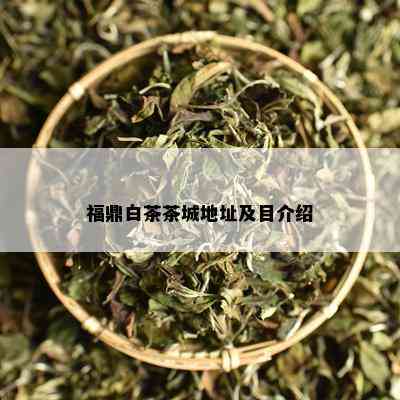 福鼎白茶茶城地址及目介绍