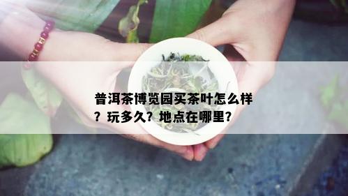 普洱茶博览园买茶叶怎么样？玩多久？地点在哪里？