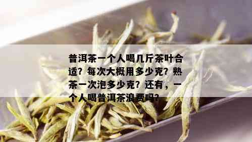 普洱茶一个人喝几斤茶叶合适？每次大概用多少克？熟茶一次泡多少克？还有，一个人喝普洱茶浪费吗？