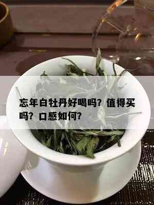 忘年白牡丹好喝吗？值得买吗？口感如何？