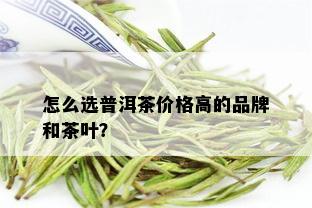 怎么选普洱茶价格高的品牌和茶叶？