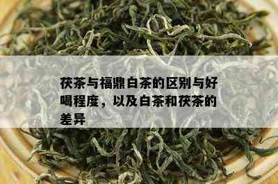 茯茶与福鼎白茶的区别与好喝程度，以及白茶和茯茶的差异