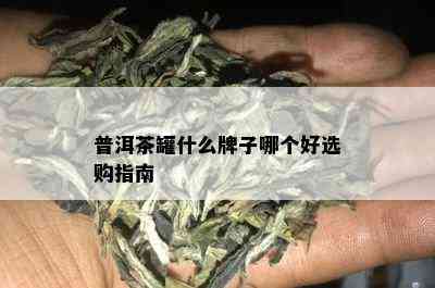 普洱茶罐什么牌子哪个好选购指南