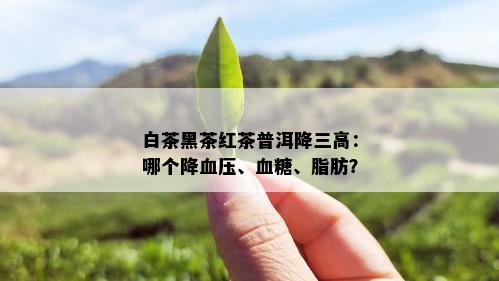 白茶黑茶红茶普洱降三高：哪个降血压、血糖、脂肪？