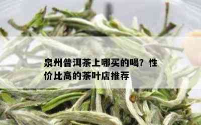 泉州普洱茶上哪买的喝？性价比高的茶叶店推荐