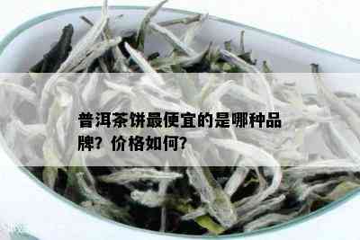 普洱茶饼更便宜的是哪种品牌？价格如何？