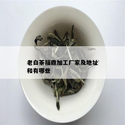 老白茶福鼎加工厂家及地址和有哪些