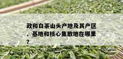 政和白茶山头产地及其产区、基地和核心集散地在哪里？