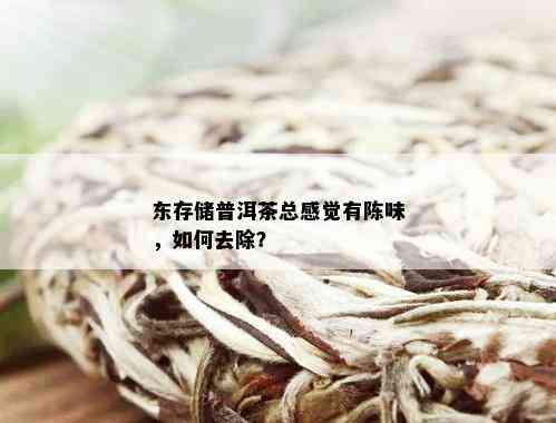 东存储普洱茶总感觉有陈味，如何去除？