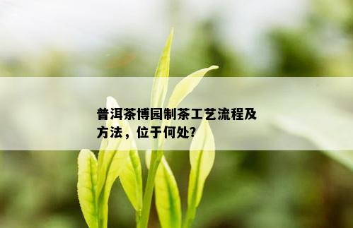 普洱茶博园制茶工艺流程及方法，位于何处？