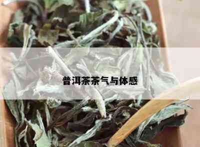 普洱茶茶气与体感