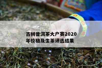 古树普洱茶大户赛2020年价格及生茶评选结果