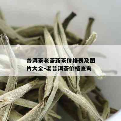 普洱茶老茶新茶价格表及图片大全-老普洱茶价格查询