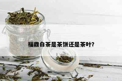 福鼎白茶是茶饼还是茶叶？