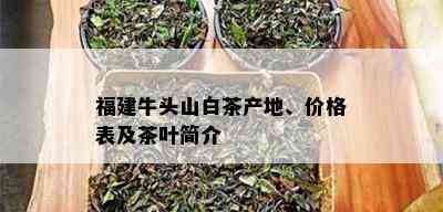 福建牛头山白茶产地、价格表及茶叶简介