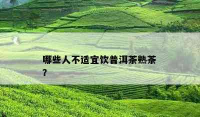 哪些人不适宜饮普洱茶熟茶？